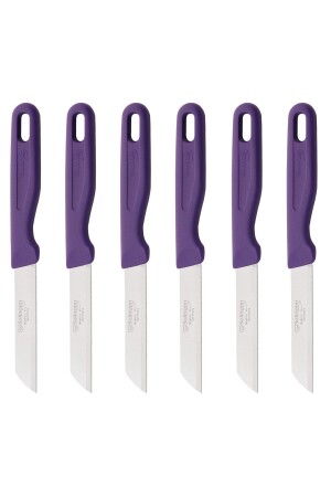 Hollow Handle Fruit Knife Set of 6-purple - Solingen
