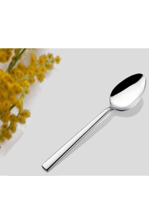 Inter Çelik Nil Model 12 Teaspoon AHİR510111 - İNTER CELİK