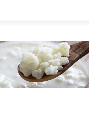 Kefirikafkas Inek Sütü Kefir Mayası - Doğal Katkısız Lezzetli - Kefiri Kafkas