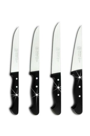 Küchenmesserset 4-teilig 011TRBS - Sürbisa