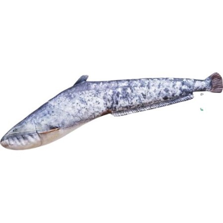 Küçük Yayın Balığı Yastığı (62cm) - Gaby
