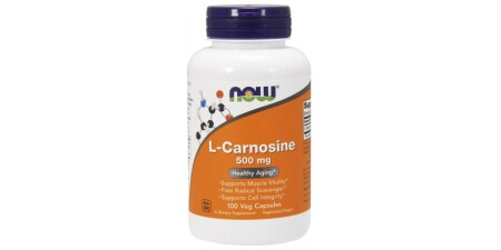 L-Carnosin - POWERBODY