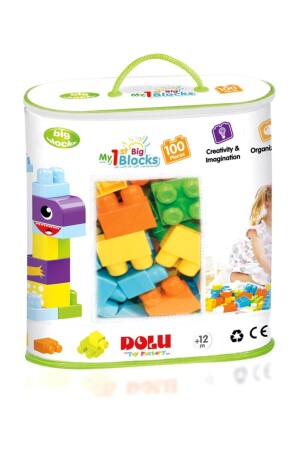 Large Blocks 100 Pieces in Printed Bag 5020 - Dolu