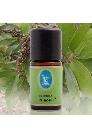 Laurel Essencia Niaouli Oil 3 X 10 ml 440157760 - NUKA