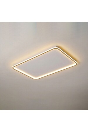Led Avize Plafonyer Basıs Tra54113 60*40cm Boya:antrasit - Işık:4000k Doğal Beyaz TR2P24A22E68J1I4 - TRİOLUX