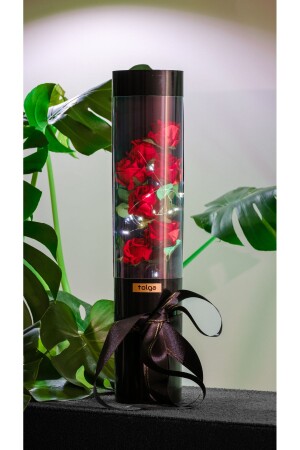 صناديق الورود المزخرفة المزخرفة مع أضواء LED الجيرية - صناديق هدية خاصة لمحبي السنة الجديدة - Byshopping