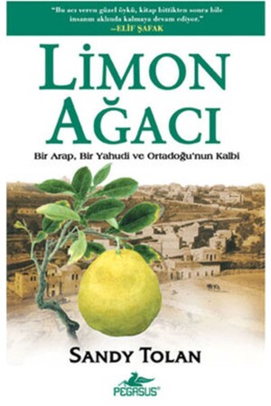Lemon Tree - Sandy Tolan - Pegasus Yayınları