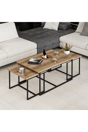 Levada 3-Piece Nesting Coffee Table-dore M. M.01. 01. 09. 07739 - Minar