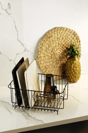 Lifetime Stainless Dish Rack Dish Basket Single Tier Plate Rack Black - Sas Haus