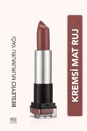Light Textured Matte Lipstick (PINK) - Hd Weightless Matte Lipstick - 002 Dry Rose - 8690604518579 0313084 - Flormar