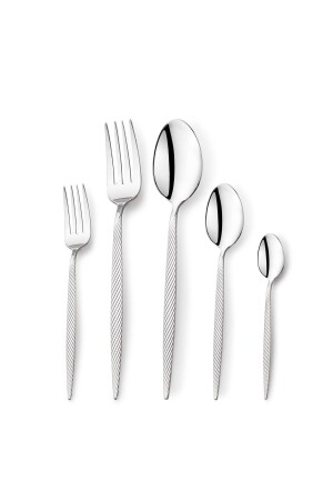 Lional 60 Piece Fork Spoon Set-silver04 1S4229-11001-GUM04 - Schafer