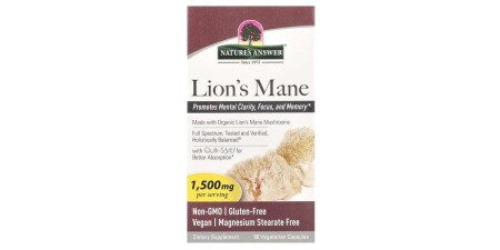 Lion's Mane - POWERBODY