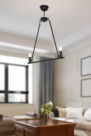 Lucas 2 Li Black Modern Young Room Kitchen Retro Living Room Chandelier 3084-02-FR - Apliqa