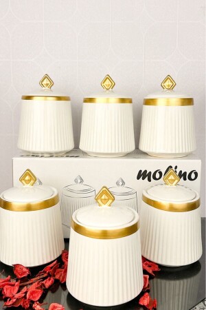 Lüx Gold Yaldızlı 6 Lı Porselen Baharat Takımı TYC00828367986 - Akkoyunlu home