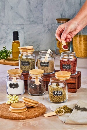 Luxury Spice Set with 6 Spoons Glass Jar Storage Container (300 ML SPICE JAR SET) FBZ-300-6K - FBZhome