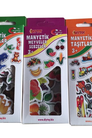 Magnetic Set of 3 Animals Fruits Vehicles - Diytoy