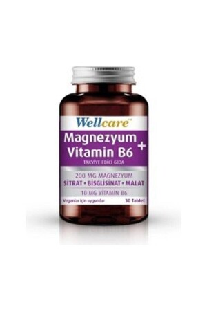 Magnezyum-vitamin B6 Takviye Edici Gıda 30 Tablet - Wellcare
