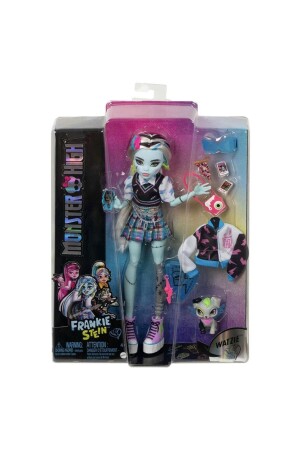 Main Character Dolls Frankie Stein Hpd53-hhk53 - Monster High