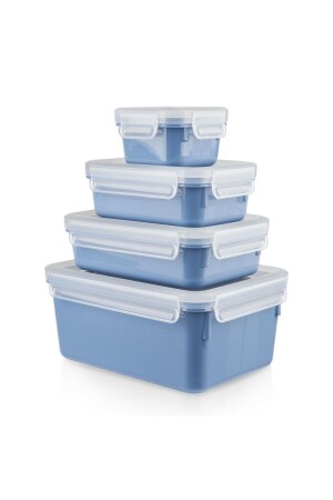 Masterseal Color 4'lü Set Mavi 3110600884 - TEFAL