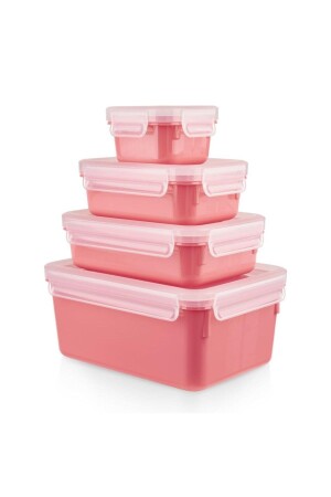 Masterseal Color 4'lü Set Pudra 3110600886 - TEFAL