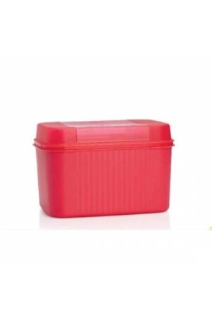 Mega Kutu 7.3 Lt Saklama Kabı 1212113 - Tupperware