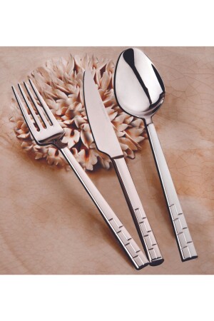 Milano 72 Piece Fork Spoon Knife Set for 12 Persons Boxed ASLMLN72 - Aslan