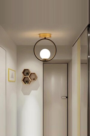 Milaya Moder Globe Glass Single Floor Chandelier for Entrance Hall Hallway Room TYC00592655360 - Uçar