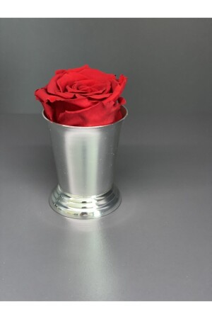 Mini Rose Bucket Mnsn-gmskv - Genel Markalar
