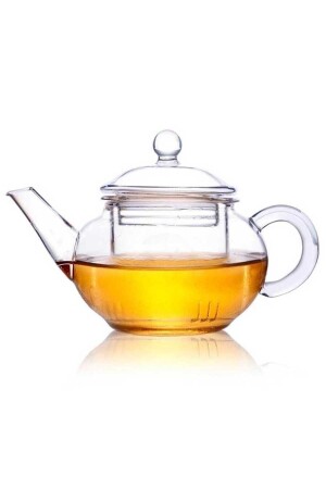 أدوات القهوة من طراز MNZ كوب شاي من الزجاج البوروسيليكات 250 مل - شاشة زجاجية (CD-250) 00030 - Epinox