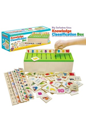 صندوق تصنيف المعرفة من منطقة MNZ - Circle Toys
