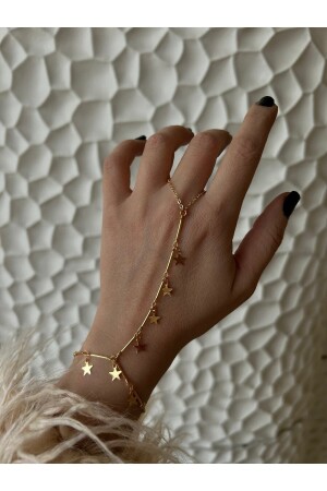 MNZ-14k النجم المغطى بالذهب تفاصيل شاهمران - Pop Up Store