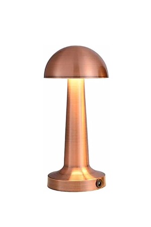 مصباح طاولة ملون من نوع MNZ-Antique مع وضع حرق 3 ألوان Ct-8430 - Cata