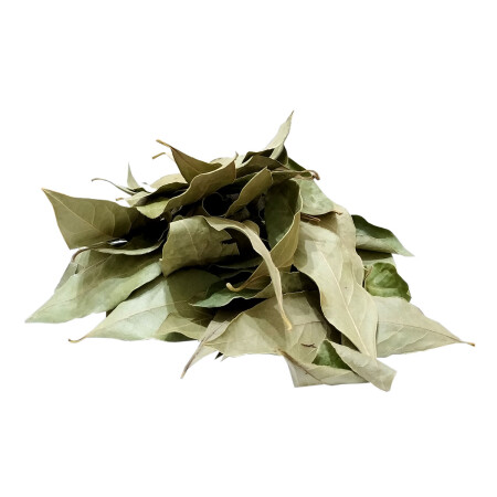 MNZ-Bay Leaf 80 ج - Lokmanavm