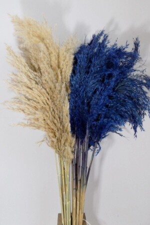 MNZ-Creme-Blue Color Pampas 20 قطعة 120 سم - Mimozaçiçek
