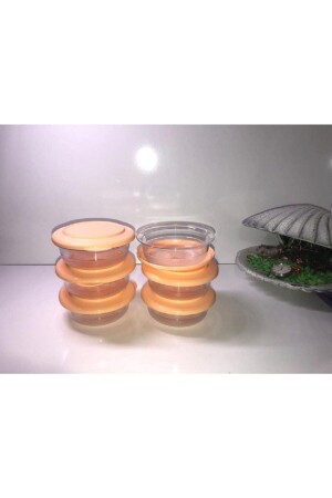 MNZ-Crystalline Pink Six-piece Bowl مع غطاء SM100000123 - Tupperware