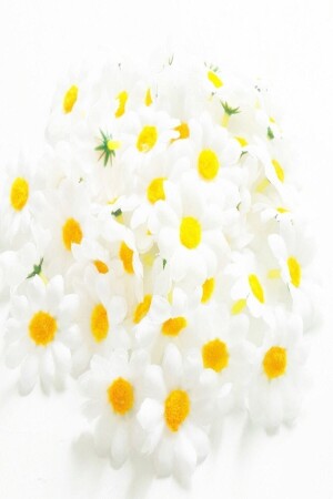 (MNZ-Daisy Flower) في الخمسينات - Byozras