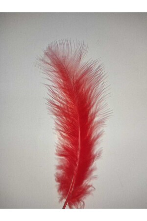 MNZ-Feather Red 100pcs - Özcan Ambalaj