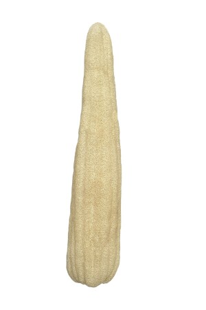 MNZ-Fiber Natural Pumpkin (60-70 CM) - المطبخ والحمام - الحقيبة الطبيعية - Ilaslan International