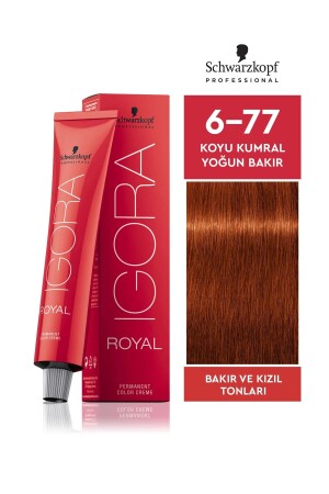 MNZ-Igora Royal 6-77 Dark Auburn مكثف من النحاس لون شعر 60ml - Schwarzkopf