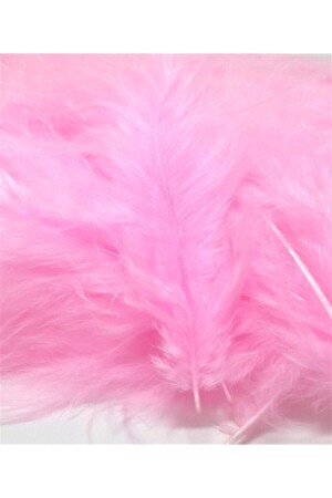 MNZ-Pink Bird Feather 100pcs - Aker Hediyelik