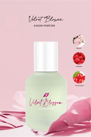 MNZ-Velvet Blossom Women's Perfume Edp 50 مل - Farmasi