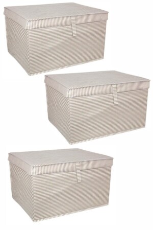 Multi-Purpose Box Maxi Pack of 3 Striped Patterned - Alas