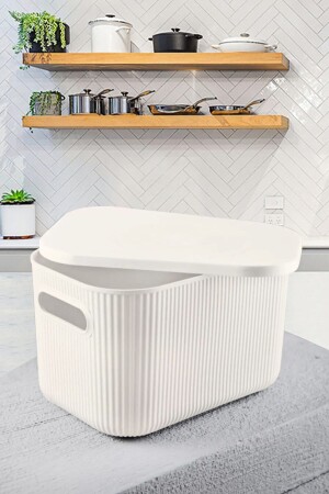 Multi-Purpose Organizer Box with Cover -box-jewelry Makeup Bathroom Kitchen Organizer Ecru 6 Lt Org-2023 - Homing