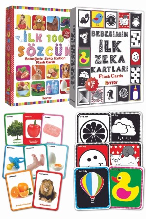 My Baby's First Intelligence Cards, First 100 Words 2-Piece Training Set TYC00159975353 - Diytoy