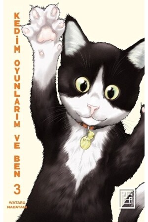 My Cat, My Games and Me 3 - Destek Yayınları