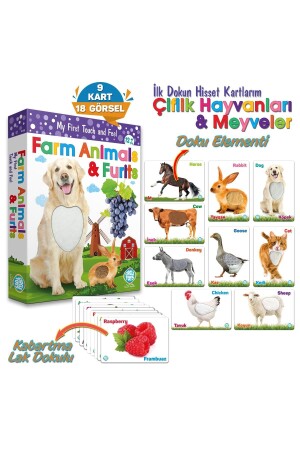 My First Touch and Feel Cards Farm Animals and Fruits (9cards18images) 044 with Texture Elements - Circle Toys