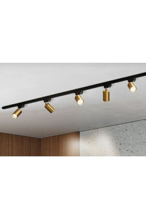 Mylights Rail Spot Antique 5 LED Spotlights with Daylight LEDs on 2 Mt Rail copyMYL002966 - demet habek mylights