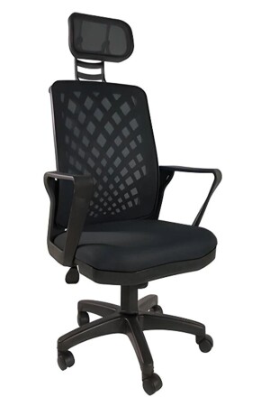 Nadya Black Mesh Plastic Executive Office Desk Computer Study Chair - Chair ndy-842przn - Porziyon
