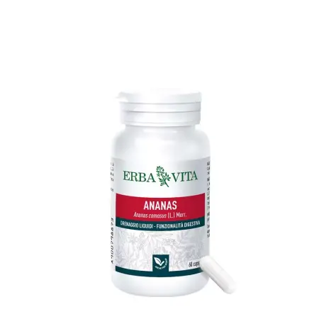 Natur Tanya Pineapple Vegetable Capsule (60 Capsules) - Natur Tanya