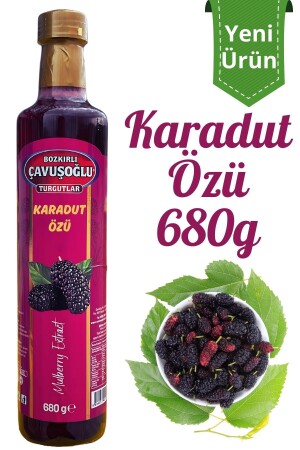 Natural and Additive-Free Black Mulberry Extract 680g - Bozkırlı Çavuşoğlu
